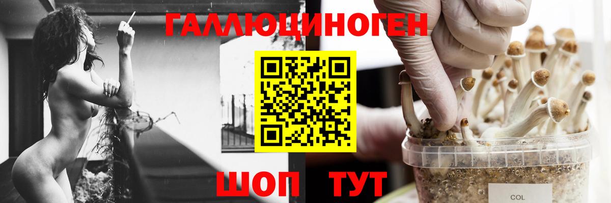 Псилоцибиновые грибы Magic Shrooms  Вход с VPN  Псилоцибиновые грибы GOLDEN TEACHER  Ишим 